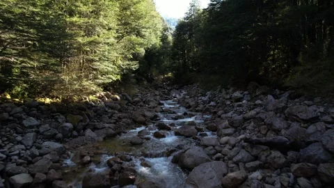 Drone shot of a river with rocks and trees Stock-Footage 332032122