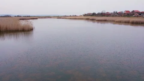 Drone shot of a river in spring Stock Footage 255733741