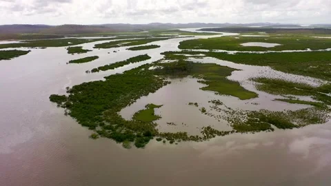 Drone shot of a river system in Queensland Stock Footage 262951058