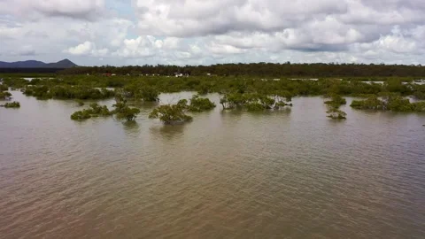 Drone shot of a river system in Queensland Stock Footage 262951573