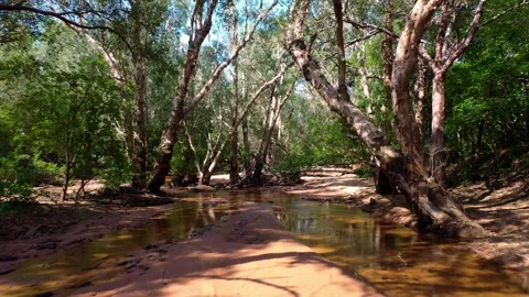 Drone shot of a river system in Queensland Stock Footage 262951788