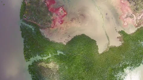 Drone shot of a river system in Queensland Stock Footage 262952058