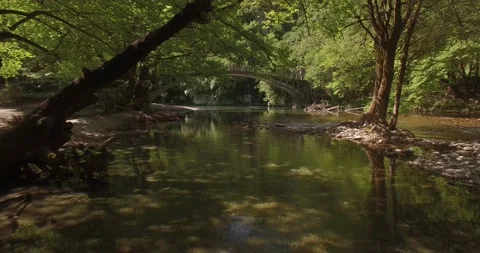 A drone shot from the river Voidomatis, at Zagori Greece Video stock 220744764