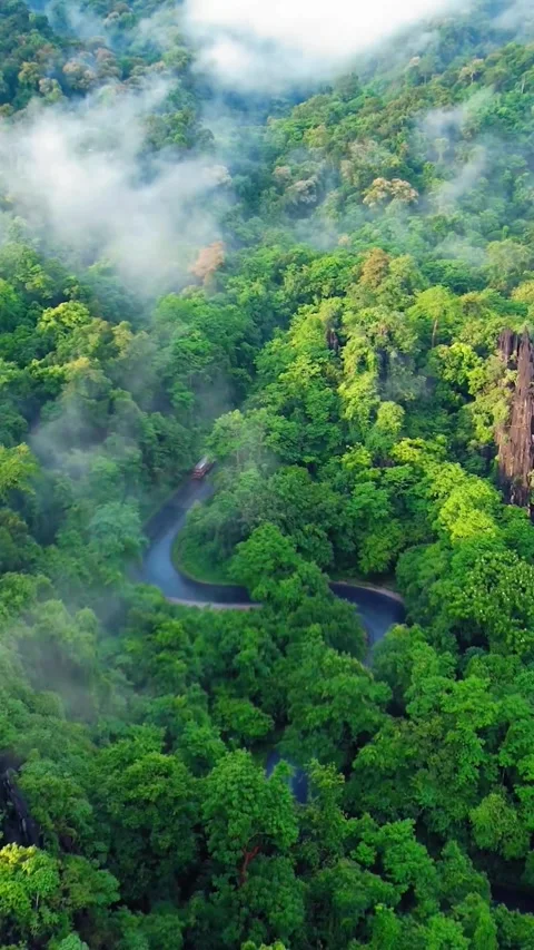 Drone Shot of a Road Between Jungle in Laos 動画素材 265299148