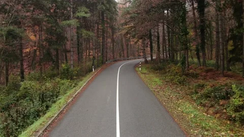 Drone shot of road in forest Video stock 144072594