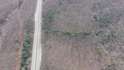 Drone shot of road passing through forest hills natural scenery Vídeo Stock 331424747