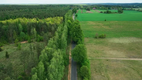Drone Shot Of A Road Passing Through A Dense Forest In Poland Stock Footage 337035000