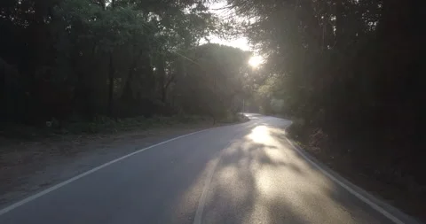 Drone Shot of Road Through Forest with Sunset Ahead Stock Footage 311940301
