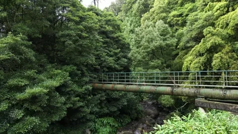 Drone shot,  rustic bridge near the stunning in forrest,  Salto do Cabrito Stock Footage 321079479
