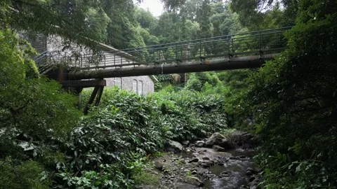 Drone shot of rustic bridge near the Salto do Cabrito waterfall Stock Footage 321079512