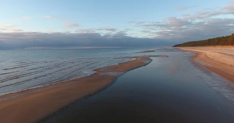 Drone shot of sandy coastline with seagulls fly past. Stock Footage