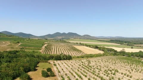 Drone Shot of Scenic Countryside Landscape and Fruit Orchards 動画素材 337305341