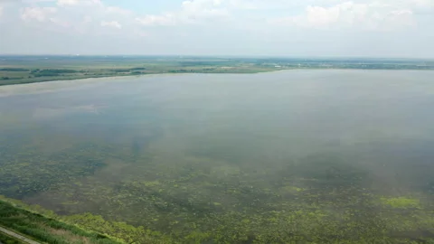 Drone shot of shore of a lake in plain countryside covered with duckweed 스톡 동영상 263296302