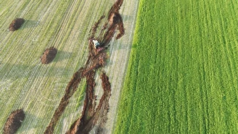 Drone shot shows tractor distributing manure on plain arable fields in Olza for Vídeo Stock 309271759