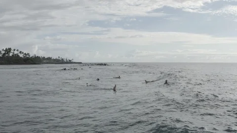 Drone shot from the side of a surfer catching a Stock Footage 124441774