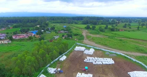 Drone shot silage corn making process factory Video stock 219321289