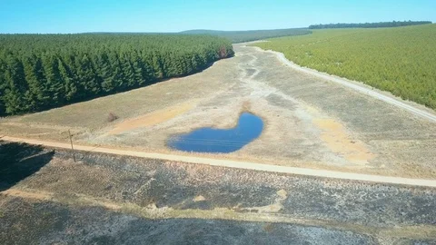 Drone shot of small dry catchment dam in cleared area of commercial forest  Stock-Footage 81202112