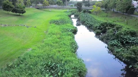 Drone shot of small river creek in Park, Singapore Stock Footage 151567931