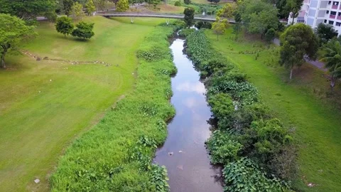 Drone shot of small river creek in Park, Singapore Stock Footage 151568077