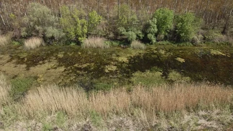 Drone shot of a small river Stock Footage 253092012