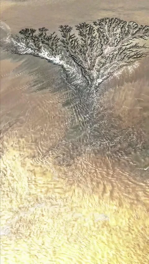 Drone Shot of the Spectacular Tidal Tree Phenomenon on Qiantang River China Stockbeeldmateriaal 342602934
