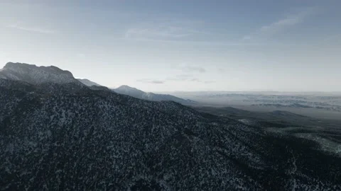Drone shot of Spring Mountains, Nevada, evergreen forest near Mount Charleston Video stock 172384167