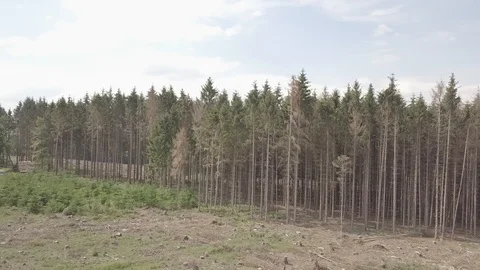 Drone Shot Storm Aftermath Stock Footage 111227569