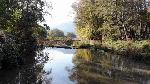 Drone Shot Of A Stream Flowing Among The Trees Stock Footage 119498483
