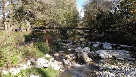 Drone Shot Of A Stream Flowing Among The Trees Stock Footage 119498487