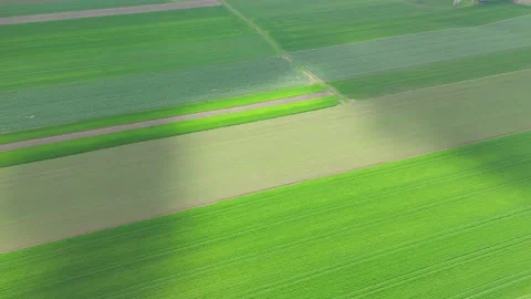 Drone shot of striped cultivated fields in spring, displaying natural earth Stock Footage 314407093
