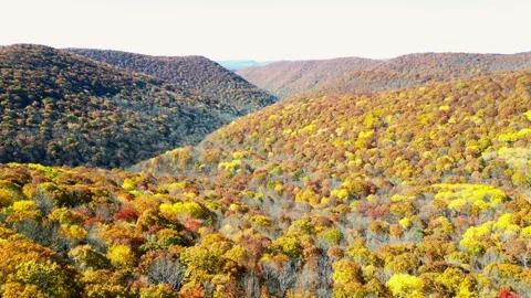 Drone Shot - Stunning Autumn View in Northern Pennsylvania Stock Footage 257726537