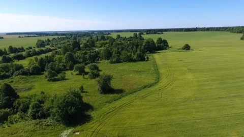 Drone shot of summer field Stock Footage 117848555