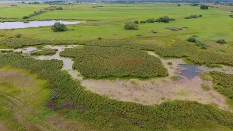 Drone shot of summer field Stockbeeldmateriaal 118081059