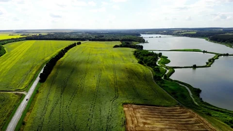Drone shot of a sunflower field Stock Footage 180913028
