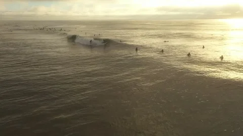 Drone Shot of a Surfer Stock Footage