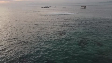 Drone Shot of Surfer paddling in the Ocean during Sunset near Bali, Indonesia Stock Footage 234192593