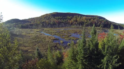 Drone shot of a swamp at the bottom of a mountain Stock Footage 63867906