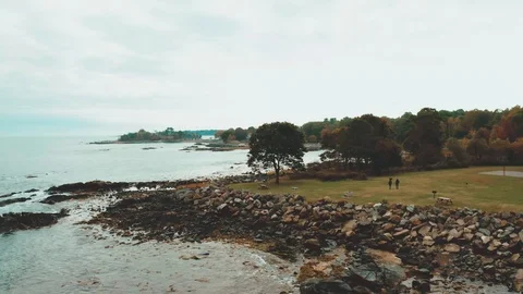 Drone Shot Swooping Over Tree On Beach Coastline Video stock 118902338