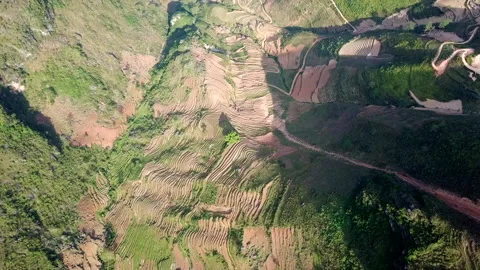 Drone shot of terraced rice fields and steep mountains on Ma Pi Leng Pass Stock Footage 144909532