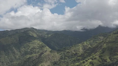 Drone shot through the Blue mountains Vídeos de archivo 335426349