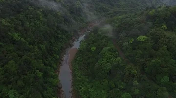 Drone shot through a forest valley following a river Stock Footage 85814025