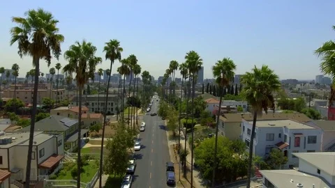 Drone shot through the palm trees Rec709 Stock Footage 82738498