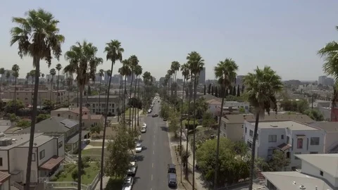 Drone shot through the palm trees Stock Footage 84584123