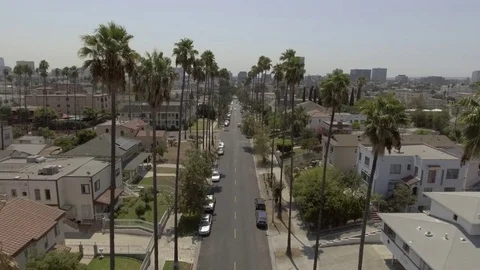 Drone shot through the palm trees Stock Footage 84588271