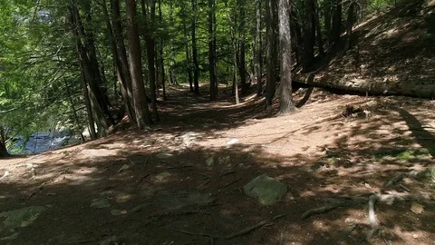 Drone Shot Through Path in Woods - 02 Stock Footage 77932840