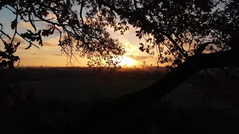 Drone shot through tree branches revealing beautiful sunrise over London Stock Footage 143529849
