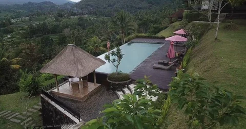 Drone Shot Through Trees Infinity Pool Bikini Girl Stock Footage 106237015