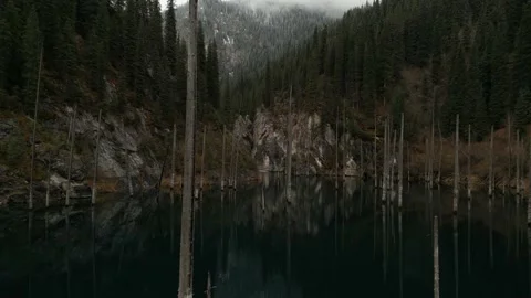 Drone shot through the trees on Kaindy lake with mountain view Stock Footage 227126066