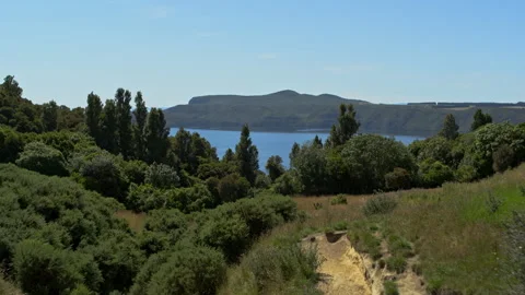 Drone shot through trees with lake behind Stock Footage 158513281