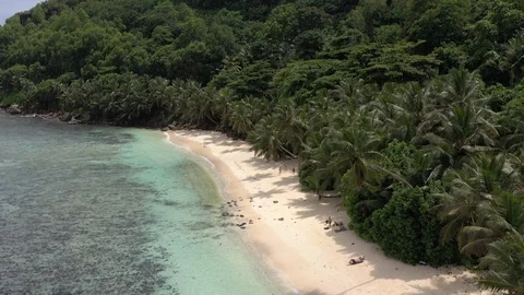 Drone shot: Tilting down on beautiful beach with lush shallow clear water 動画素材 106500922